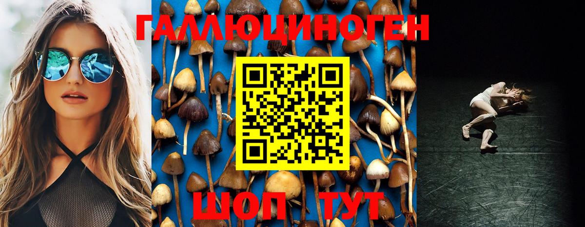 Галлюциногенные грибы Magic Shrooms Кувандык