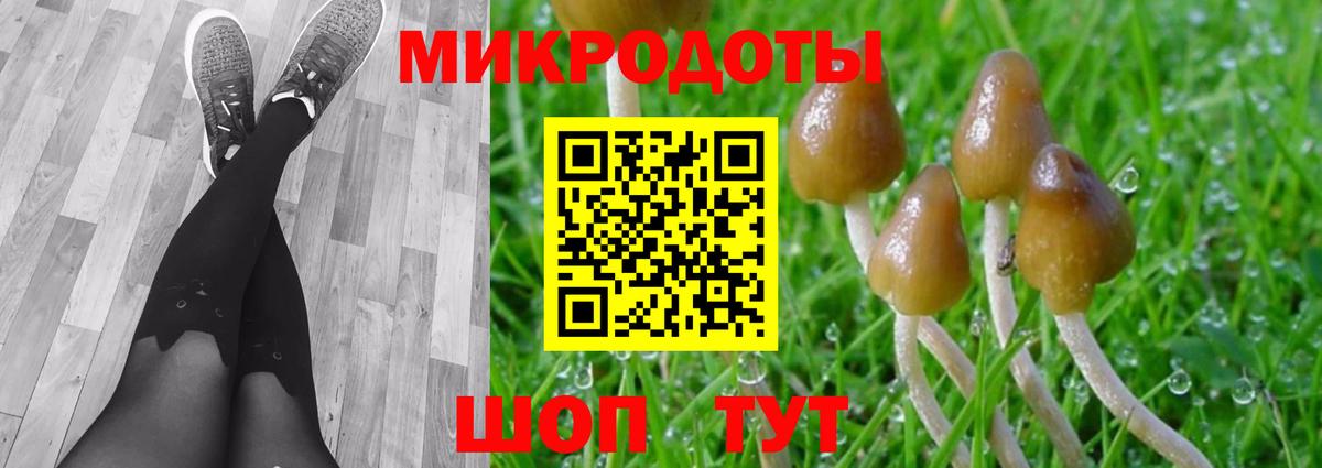 Галлюциногенные грибы GOLDEN TEACHER  Вход с VPN  Кувандык  Псилоцибиновые грибы мицелий 